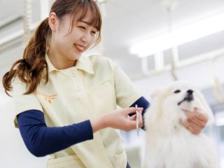 神戸ブレーメン動物専門学校 学校案内 資料請求はコチラ ベスト進学ネット