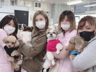 大阪動物専門学校 学校案内 資料請求はコチラ ベスト進学ネット