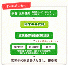 臨床検査技師 厚生労働大臣認定 国家資格 ベスト資格辞典 ベスト進学ネット スマホ版