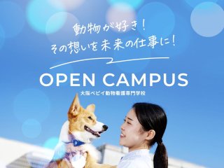 大阪ペピイ動物看護専門学校 オープンキャンパス ベスト進学ネット 大阪ペピイ動物看護専門学校 オープンキャンパス ベスト進学ネット