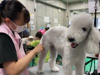 神戸ブレーメン動物専門学校 学費 奨学金について ベスト進学ネット 神戸ブレーメン動物専門学校 学費 奨学金について ベスト進学ネット