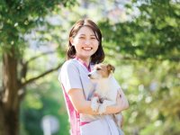 専門学校ちば愛犬動物フラワー学園 キャットプロコース 就職先 特徴 ベスト進学ネット 専門学校ちば愛犬動物フラワー学園 キャットプロコース 就職先 特徴 ベスト進学ネット