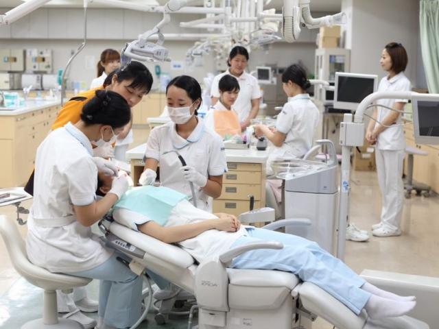 京都歯科医療技術専門学校 学科 コース一覧 ベスト進学ネット 京都歯科医療技術専門学校 学科 コース一覧 ベスト進学ネット