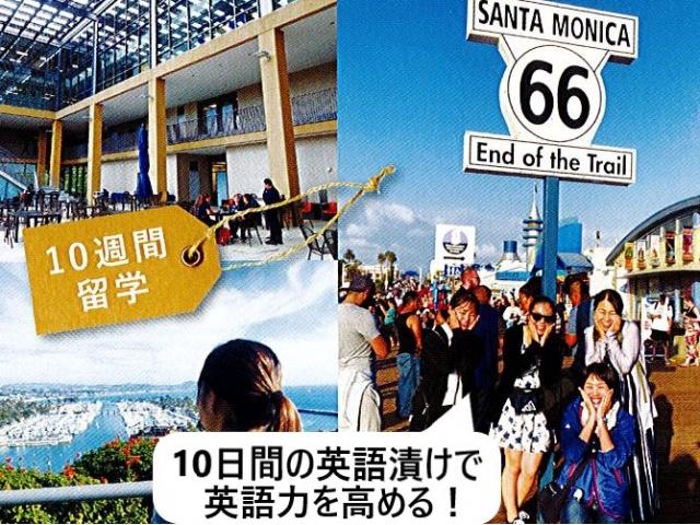 育英短期大学 特徴や雰囲気 わが校のココが一番 ベスト進学ネット 育英短期大学 特徴や雰囲気 わが校のココが一番 ベスト進学ネット