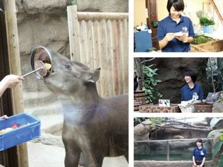 大阪eco動物海洋専門学校 特徴や雰囲気 わが校のココが一番 ベスト進学ネット 大阪eco動物海洋専門学校 特徴や雰囲気 わが校のココが一番 ベスト進学ネット