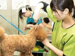 神戸ブレーメン動物専門学校 特徴や雰囲気 わが校のココが一番 ベスト進学ネット 神戸ブレーメン動物専門学校 特徴や雰囲気 わが校のココが一番 ベスト進学ネット