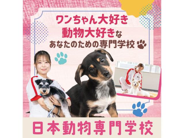 日本動物専門学校 学校案内 資料請求はコチラ ベスト進学ネット