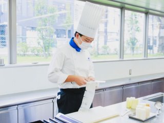 栄養士 学校 栄養士を目指す学校の一覧はこちら ベスト進学ネット