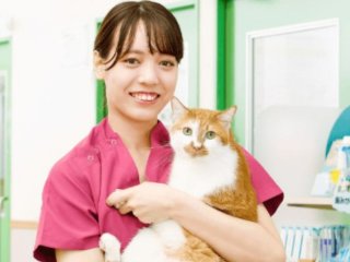 芸能マネージャー 専門学校 芸能マネージャーを目指す学校の一覧はこちら ベスト進学ネット
