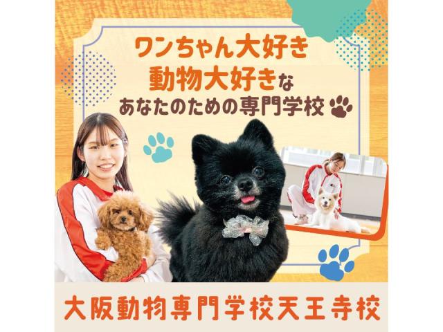 大阪動物専門学校天王寺校 学校案内 資料請求はコチラ ベスト進学ネット 大阪動物専門学校天王寺校 学校案内 資料請求はコチラ ベスト進学ネット