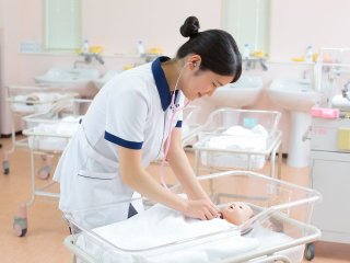 京都 看護師 学校 看護師の資格が取れる学校の一覧はこちら ベスト進学ネット 京都 看護師 学校 看護師の資格が取れる学校の一覧はこちら ベスト進学ネット