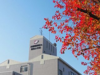 アニメ マンガ ゲーム 国立 大学 仕事 ベスト進学ネット アニメ マンガ ゲーム 国立 大学 仕事 ベスト進学ネット