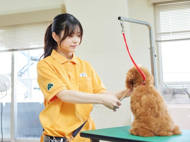 大宮国際動物専門学校 学校案内 資料請求はコチラ ベスト進学ネット 大宮国際動物専門学校 学校案内 資料請求はコチラ ベスト進学ネット