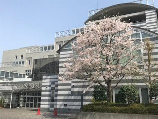 東京 公立 専門学校 地域 ベスト進学ネット 東京 公立 専門学校 地域 ベスト進学ネット
