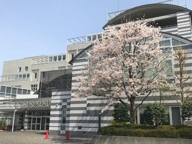 東京都立北多摩看護専門学校 学校案内 資料請求はコチラ ベスト進学ネット 東京都立北多摩看護専門学校 学校案内 資料請求はコチラ ベスト進学ネット