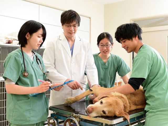 北里大学 学校案内 資料請求はコチラ ベスト進学ネット 北里大学 学校案内 資料請求はコチラ ベスト進学ネット