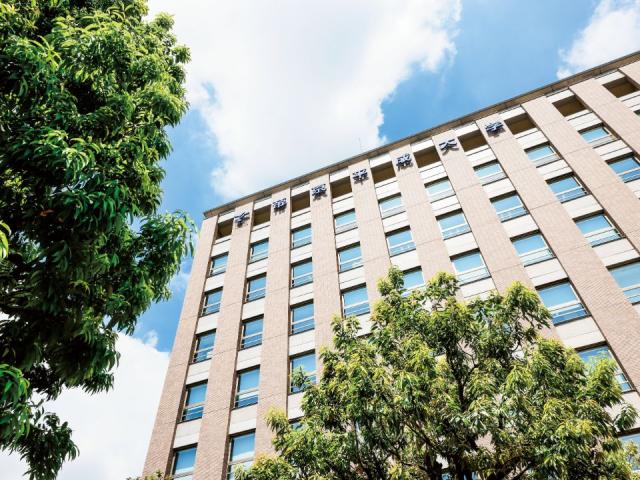 帝京 大学 幼稚園 幼稚園の1日 帝京大学幼稚園 Amp Petmd Com 帝京 大学 幼稚園 幼稚園の1日 帝京大学幼稚園 Amp Petmd Com