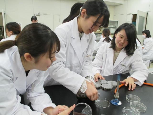 東日本栄養医薬専門学校 学校案内 資料請求はコチラ ベスト進学ネット 東日本栄養医薬専門学校 学校案内 資料請求はコチラ ベスト進学ネット
