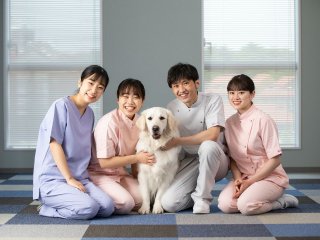 動物 ペット 大学 動物 植物 農業 バイオの仕事 ベスト進学ネット 動物 ペット 大学 動物 植物 農業 バイオの仕事 ベスト進学ネット