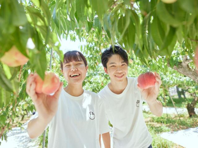 新潟農業 バイオ専門学校 学科 コース一覧 ベスト進学ネット 新潟農業 バイオ専門学校 学科 コース一覧 ベスト進学ネット