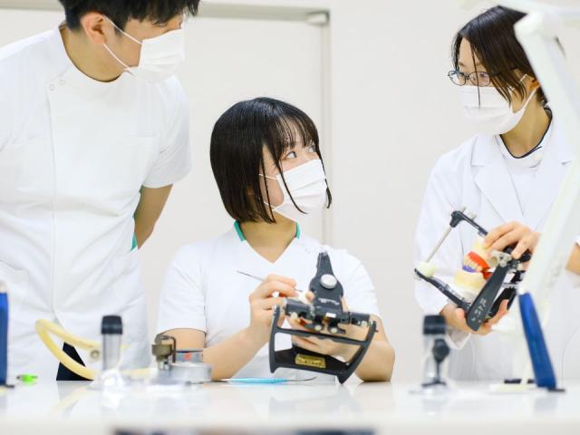 日本 歯科 大学 東京 短期 大学 短期 日本 大学 大学 東京 歯科