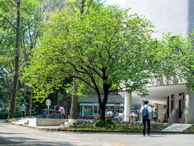 最新のファッション 驚くばかり嘉悦 女子 短期 大学 偏差 値 最新のファッション 驚くばかり嘉悦 女子 短期 大学 偏差 値