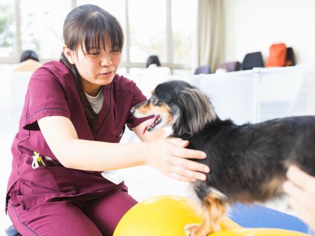 tca東京eco動物海洋専門学校 学校案内 資料請求はコチラ ベスト進学ネット