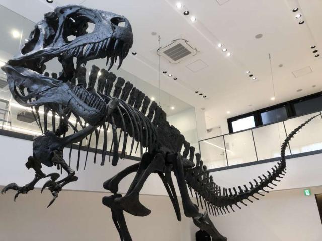 tca東京eco動物海洋専門学校 みんなの感想 評判 口コミ ベスト進学ネット tca東京eco動物海洋専門学校 みんなの感想 評判 口コミ ベスト進学ネット