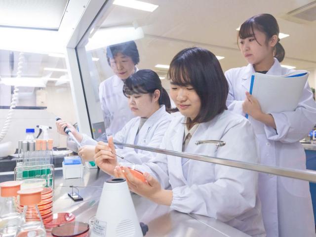 共立 女子 短期 大学 偏差 値 21年最新版 短大 短期大学部の偏差値ランキング一覧 Amp Petmd Com 共立 女子 短期 大学 偏差 値 21年最新版 短大 短期大学部の偏差値ランキング一覧 Amp Petmd Com