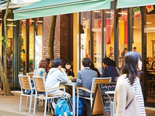 甲南大学 学校案内 資料請求はコチラ ベスト進学ネット 甲南大学 学校案内 資料請求はコチラ ベスト進学ネット