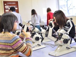 キクチ眼鏡専門学校 学校案内 資料請求はコチラ ベスト進学ネット キクチ眼鏡専門学校 学校案内 資料請求はコチラ ベスト進学ネット