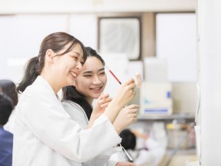 新大阪歯科技工士専門学校 みんなの感想 評判 口コミ ベスト進学ネット 新大阪歯科技工士専門学校 みんなの感想 評判 口コミ ベスト進学ネット