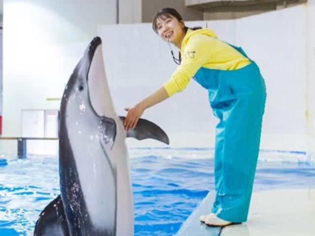 大阪eco動物海洋専門学校 学校案内 資料請求はコチラ ベスト進学ネット 大阪eco動物海洋専門学校 学校案内 資料請求はコチラ ベスト進学ネット