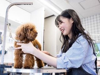 大阪eco動物海洋専門学校 学校案内 資料請求はコチラ ベスト進学ネット 大阪eco動物海洋専門学校 学校案内 資料請求はコチラ ベスト進学ネット