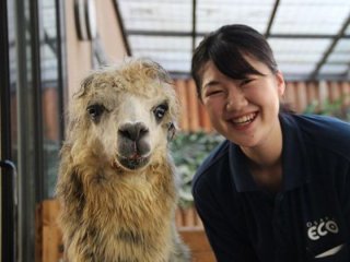 水族館スタッフ 専門学校 水族館スタッフを目指す学校の一覧はこちら ベスト進学ネット 水族館スタッフ 専門学校 水族館スタッフを目指す学校の一覧はこちら ベスト進学ネット