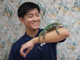 水族館スタッフ 専門学校 水族館スタッフを目指す学校の一覧はこちら ベスト進学ネット 水族館スタッフ 専門学校 水族館スタッフを目指す学校の一覧はこちら ベスト進学ネット