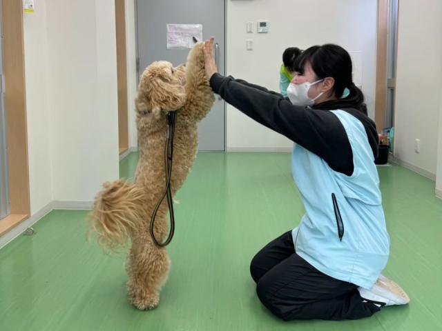 神戸ブレーメン動物専門学校 学校案内 資料請求はコチラ ベスト進学ネット 神戸ブレーメン動物専門学校 学校案内 資料請求はコチラ ベスト進学ネット