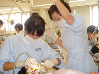 歯科技工士 私立 専門学校 歯科技工士を目指す学校の一覧はこちら ベスト進学ネット 歯科技工士 私立 専門学校 歯科技工士を目指す学校の一覧はこちら ベスト進学ネット