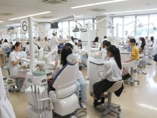 京都 歯科技工士 学校 歯科技工士の資格が取れる学校の一覧はこちら ベスト進学ネット 京都 歯科技工士 学校 歯科技工士の資格が取れる学校の一覧はこちら ベスト進学ネット