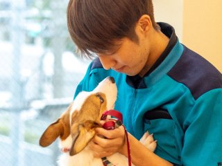 大阪ブレーメン動物専門学校 学校案内 資料請求はコチラ ベスト進学ネット 大阪ブレーメン動物専門学校 学校案内 資料請求はコチラ ベスト進学ネット