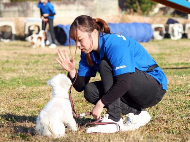 国際ペット総合専門学校 学校案内 資料請求はコチラ ベスト進学ネット 国際ペット総合専門学校 学校案内 資料請求はコチラ ベスト進学ネット