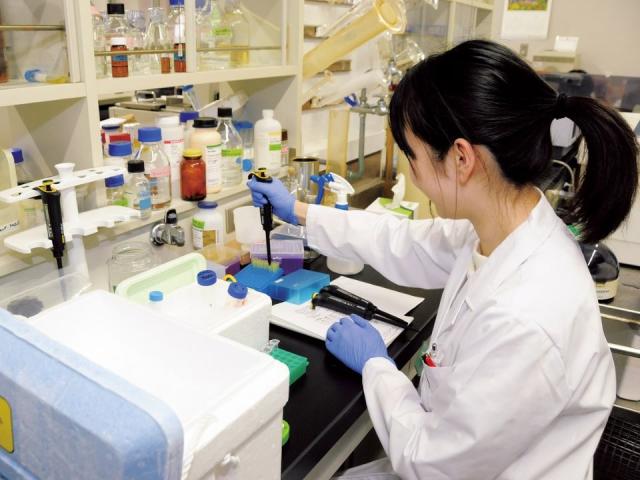 昭和薬科大学 オープンキャンパス ベスト進学ネット 昭和薬科大学 オープンキャンパス ベスト進学ネット