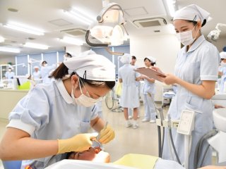 歯科技工士 私立 専門学校 歯科技工士を目指す学校の一覧はこちら ベスト進学ネット 歯科技工士 私立 専門学校 歯科技工士を目指す学校の一覧はこちら ベスト進学ネット