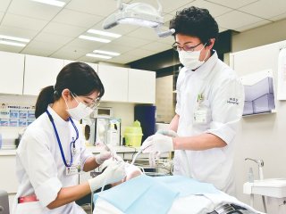 日本歯科大学 偏差値 入試難易度について ベスト進学ネット 日本歯科大学 偏差値 入試難易度について ベスト進学ネット