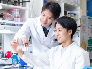 東邦大学 偏差値 入試難易度について ベスト進学ネット 東邦大学 偏差値 入試難易度について ベスト進学ネット