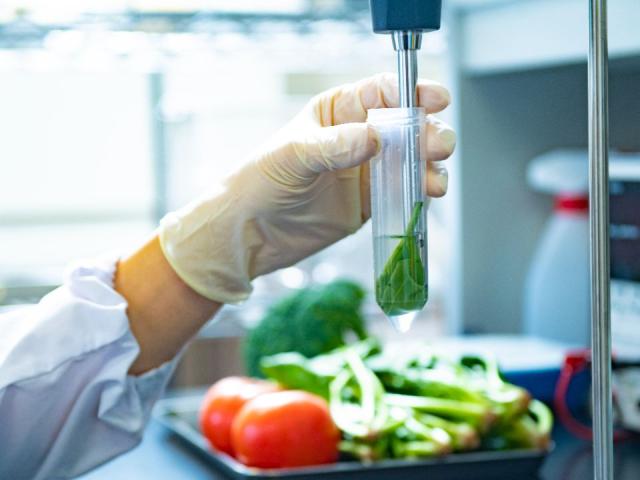 日本獣医生命科学大学 偏差値 入試難易度について ベスト進学ネット 日本獣医生命科学大学 偏差値 入試難易度について ベスト進学ネット