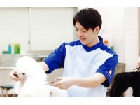 スカイ総合ペット専門学校 トリマー師範科 2年制 就職先 特徴 ベスト進学ネット スカイ総合ペット専門学校 トリマー師範科 2年制 就職先 特徴 ベスト進学ネット